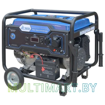 Бензиновый генератор ТСС SGG 8000EHNA